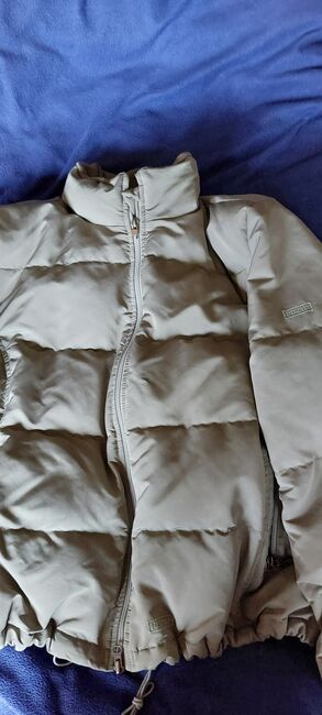 Pikeur Jacke und Reithosen gr42 bis44, Bianca , Reithosen, Paderborn