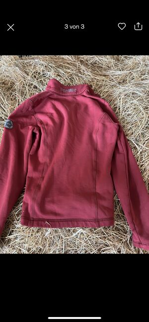 Pikeur Pullover, Pikeur , Marry, Shirts & Tops, Nordwalde , Image 3