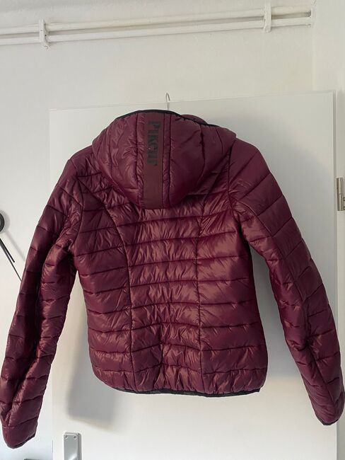 Pikeur Winterjacke Damen Ilvy, Pikeur Pikeur Ilvy, Sina, Koszulki i t-shirty, Bielefeld, Image 5