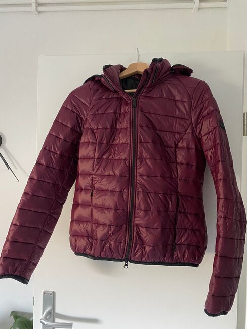 Pikeur Winterjacke Damen Ilvy, Pikeur Pikeur Ilvy, Sina, Oberteile, Bielefeld