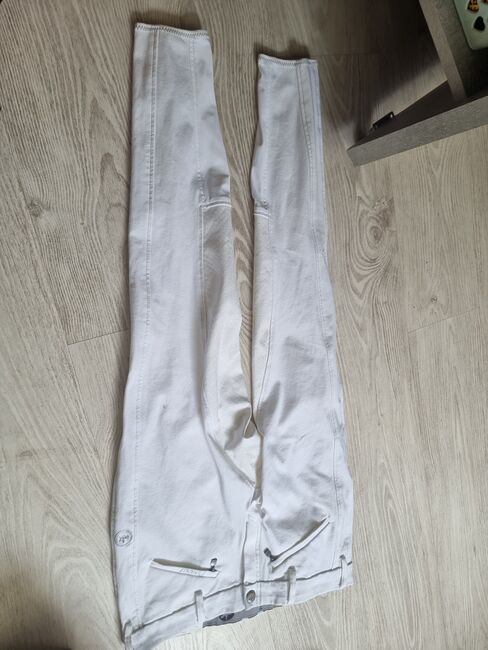 Pikure grip Latina tunierreithose größe 42, Milena, Breeches & Jodhpurs, Vechta