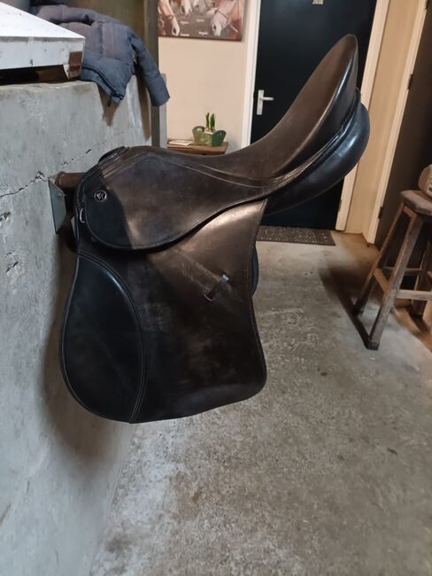 Kiefer Vielseitigkeitssattel, Kiefer , Dunja Naanouh , All Purpose Saddle, Rhede