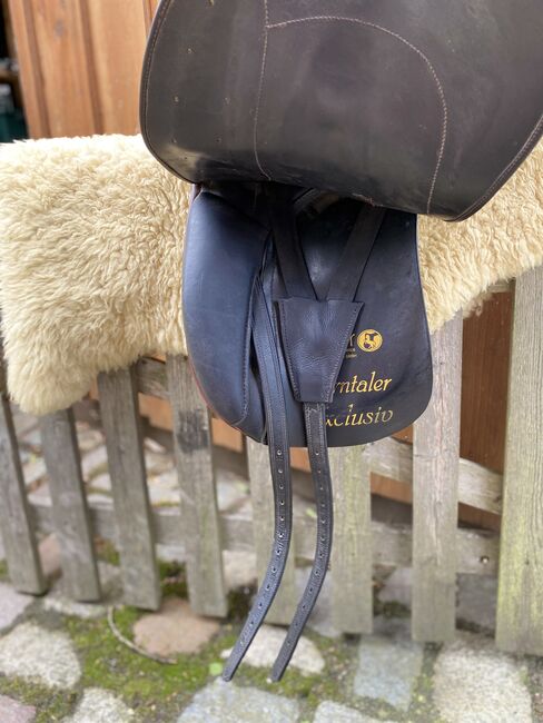 Kiefer sterntaler exklusive, Kiefer Sterntaler Exklusiv , Greta, Dressage Saddle, Appel , Image 4