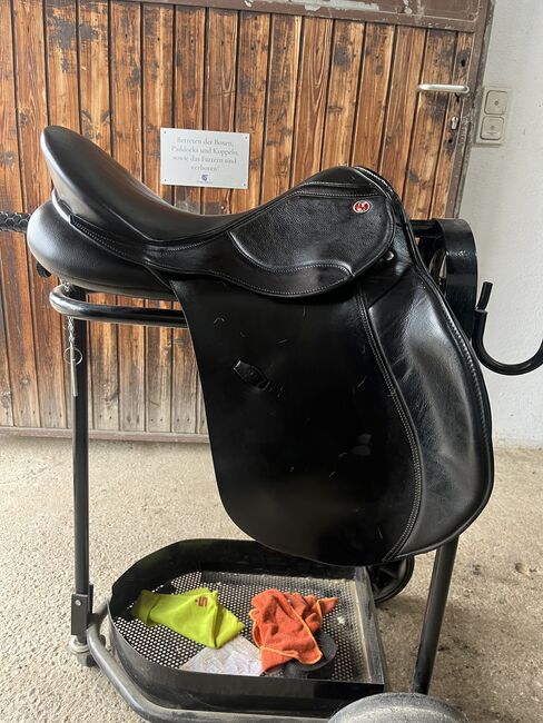 Kiefer Venedig exklusiv, Kiefer  Venedig exklusiv , Stella , All Purpose Saddle, Falkenberg, Image 5