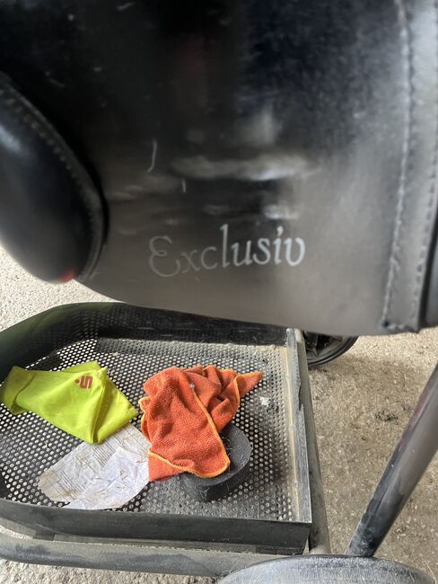 Kiefer Venedig exklusiv, Kiefer  Venedig exklusiv , Stella , All Purpose Saddle, Falkenberg, Image 3