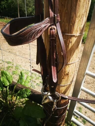 Pink suede and leather western saddle, Katie , Westernsattel, Saltash , Abbildung 3