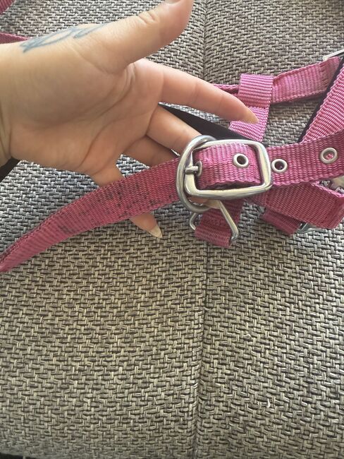 Pinked Crownhorse Halfter Gr.Cob, Simone Just, Halters, St.Ingbert , Image 4