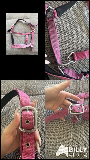 Pinked Crownhorse Halfter Gr.Cob, Simone Just, Kantary, St.Ingbert , Image 6