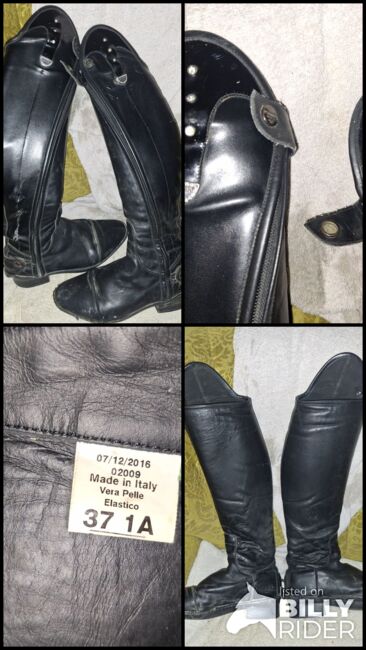 Pioneer Reitstiefel Gr. 37, Pioneer, Theresa H., Riding Boots, Knappetsberg, Image 5