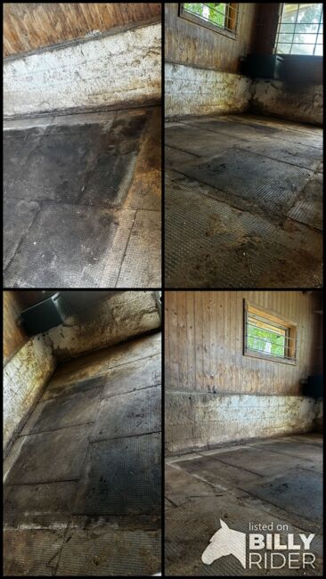 Boxenmatten, Barbara Schlor, Horse & Stable Mats, Rohrdorf, Image 5