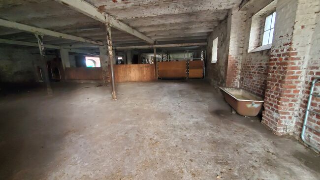 Platz in Offenstall/Laufstall frei (Diät/Hufrehe geeignet) in Eschweiler, M. Lenzen, Horse Stables, Eschweiler, Image 8
