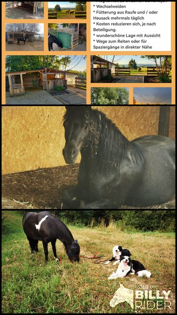 Platz im Offenstall frei, Nadine, Horse Stables, Sommersberg, Image 4