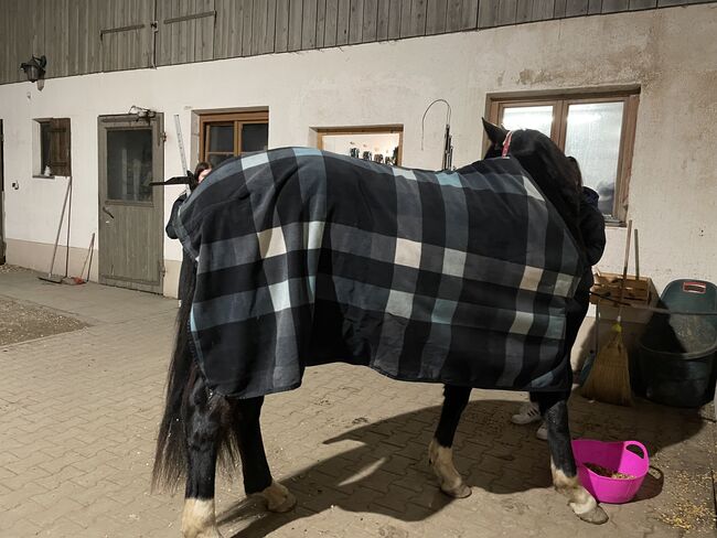 Decken in 155, Eskadron, Nathalie Hammerl, Horse Blankets, Sheets & Coolers, Tuntenhausen, Image 3