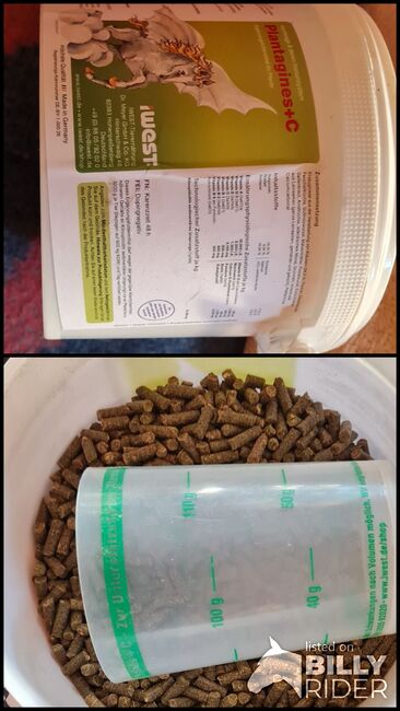 Plantagines, Iwest, Martina Holz, Horse Feed & Supplements, Nauen/ OT Markee, Image 3