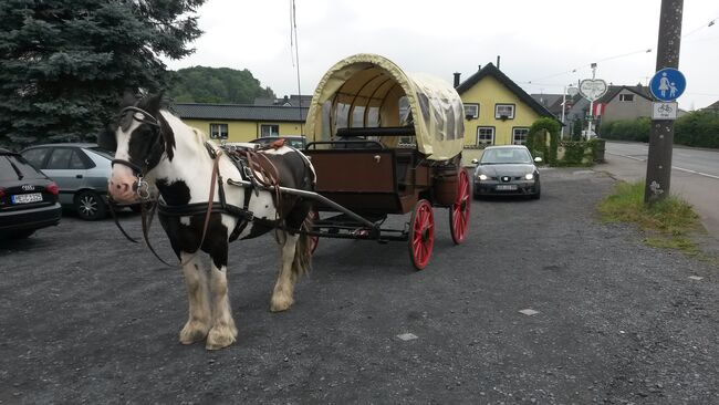 Planwagen einspännig, "Jack", Kutschen, Burscheid, Abbildung 4