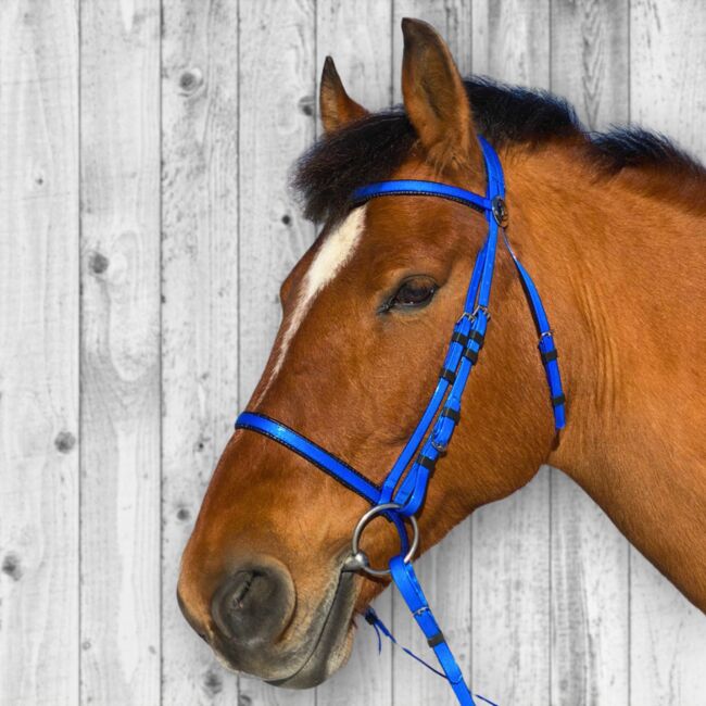 Kunststoff Zaumzeug BLAU glänzend, Maya (Swisshorseshop), Bridles & Headstalls, Frauenfeld