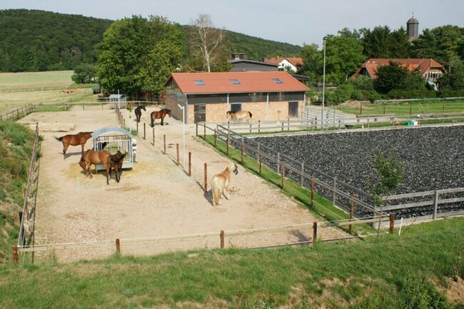 Platz in Bewegungsstall / Offenstall - Nähe Göttingen/Witzenhausen, Swantje Schröter, Horse Stables, Neu-Eichenberg, Image 2