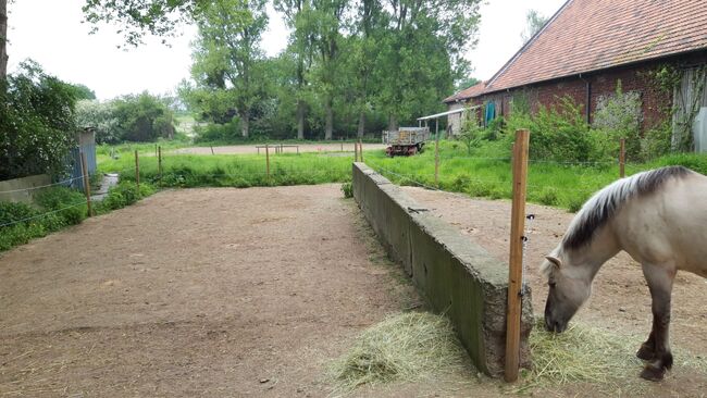 Platz in Offenstall/Laufstall frei (Diät/Hufrehe geeignet) in Eschweiler, M. Lenzen, Stallplätze, Eschweiler, Abbildung 4