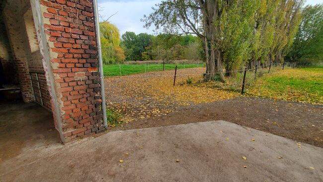 Platz in Offenstall/Laufstall frei (Diät/Hufrehe geeignet) in Eschweiler, M. Lenzen, Stallplätze, Eschweiler, Abbildung 9