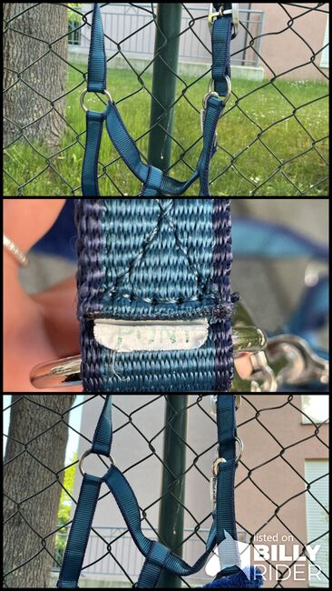 Plüschhalfter blau Pony, Ramona, Halters, Gunzenhausen, Image 4