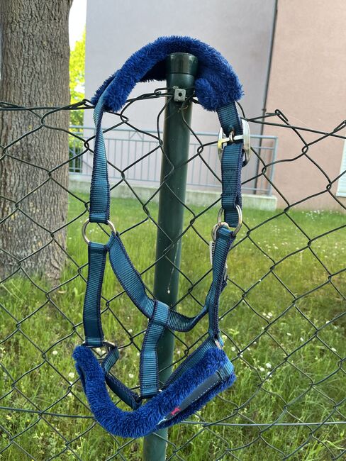 Plüschhalfter blau Pony, Ramona, Halters, Gunzenhausen