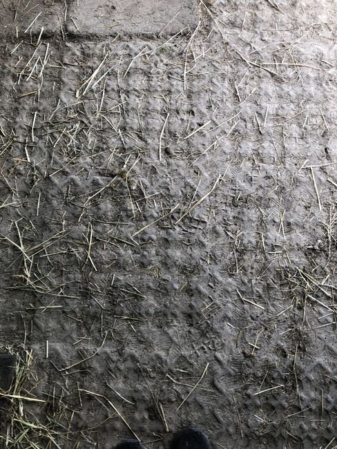 INB Paddockplatten gesucht, INB INB paddockplatten 50x50, Carola Jacobs-Schütte, Stabilne maty, Velpke , Image 4
