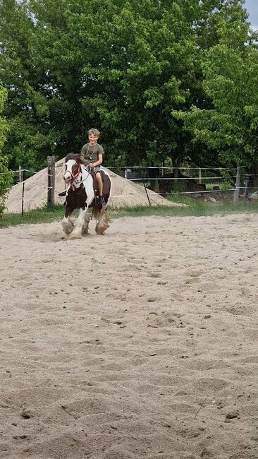 Anfänger pferd kinderpony lehrpferd, Yvonne , Konie na sprzedaż, Grimma, Image 6