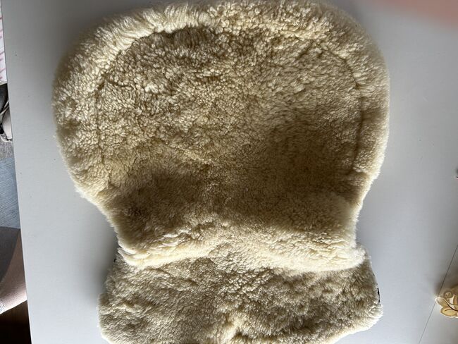 Sattelpad Christ, Sandra, Siodło akcesoria, Weitersborn , Image 2