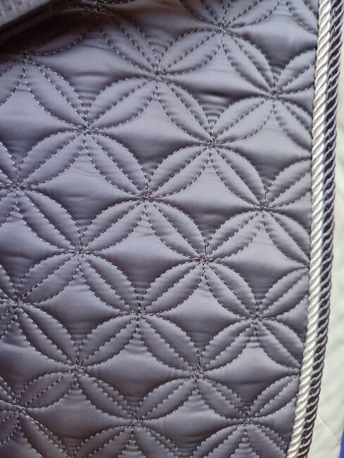 Eskadron Schabracke Platinum Violetgrey, Eskadron  Platinum , Charlotte Jamieson , Czapraki, Nienburg, Image 4