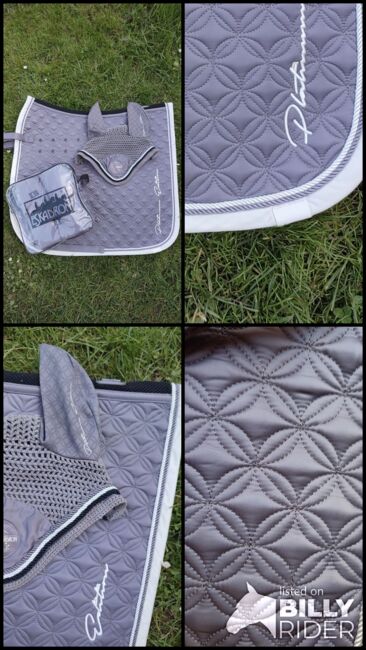 Eskadron Schabracke Platinum Violetgrey, Eskadron  Platinum , Charlotte Jamieson , Czapraki, Nienburg, Image 6