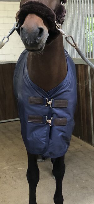 Kentucky Horsewear Regendecke, Kentucky Horsewear, Carla, Derki dla konia, Düsseldorf
