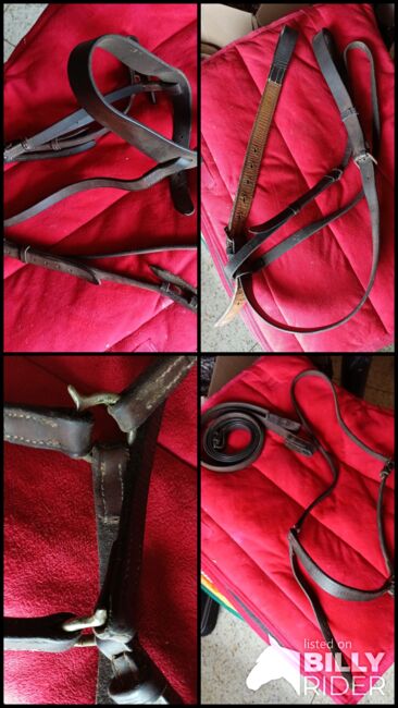 Polo bridle, martingale, breastplate and draw reins., Carolyn Thow, Ogłowia, Alvarado, Image 6