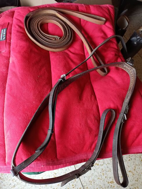 Polo bridle, martingale, breastplate and draw reins., Carolyn Thow, Trensen, Alvarado, Abbildung 4