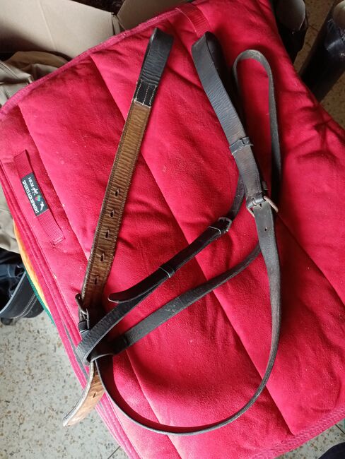 Polo bridle, martingale, breastplate and draw reins., Carolyn Thow, Bridles & Headstalls, Alvarado, Image 3