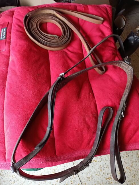 Polo bridle, martingale, breastplate and draw reins., Carolyn Thow, Bridles & Headstalls, Alvarado, Image 4