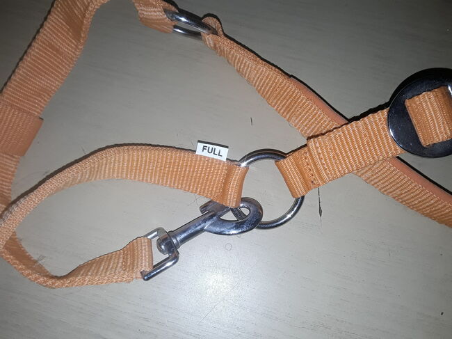 Oranges Set Pony, Halfter, Longe, Schabbi, 4er Gamaschen, neu, Preis s. Text, XYZ, Czapraki, Groß Wittensee, Image 3