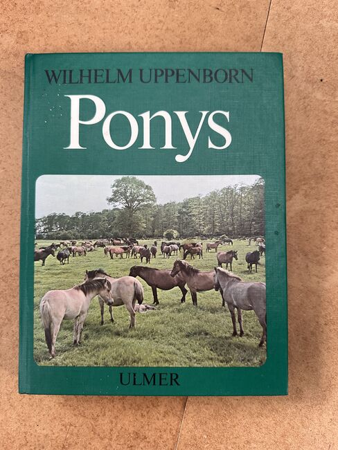 Ponys - Umgang und Haltung, Anna-Lena Baumert, Books, Mittelstenahe