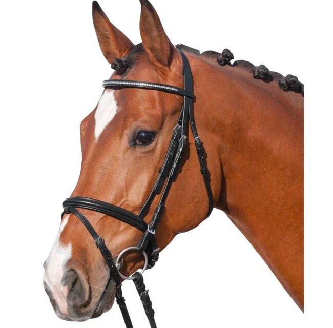 Pony Loesdau Trensenzaum Diamond II Leder + D-Ring-Trense 11,5, Loesdau Diamond II, M.M., Bridles & Headstalls, Burghausen, Image 8