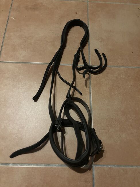 Pony Trense, Lucy Zimmermann, Bridles & Headstalls, Gütersloh 