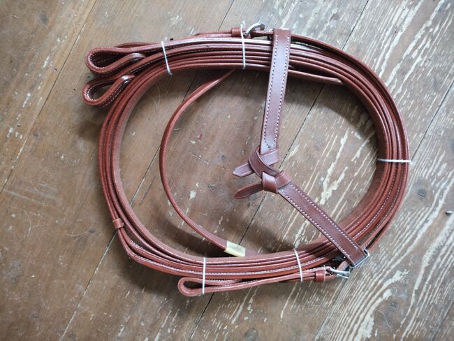 Pony Westerntrense, Anna Eberhart, Bridles & Headstalls, Ebersbach-Musbach