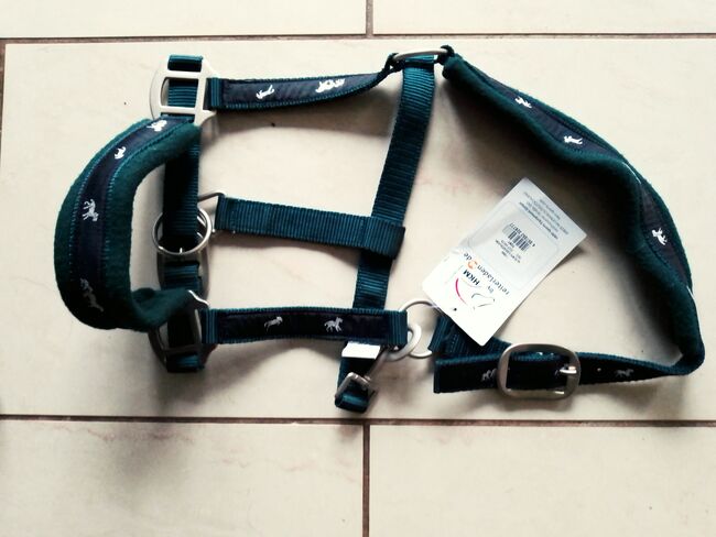 Ponyhalfer, Heike Kastner, Halters, Rhede, Image 2