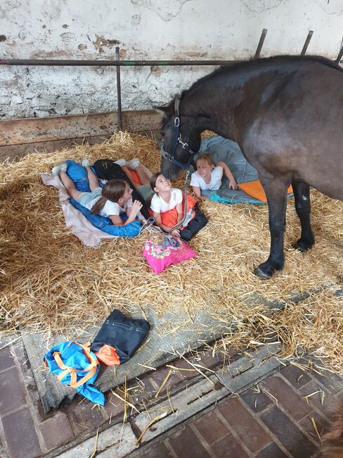 Ponycamp auf dem Lautertalhof, Janina Sausse , Riding Holidays, Lautertal, Image 6