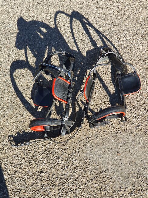 Neuwertiges Zweispännergeschirr Pony, KL, Horse Harness, Niederstetten , Image 5