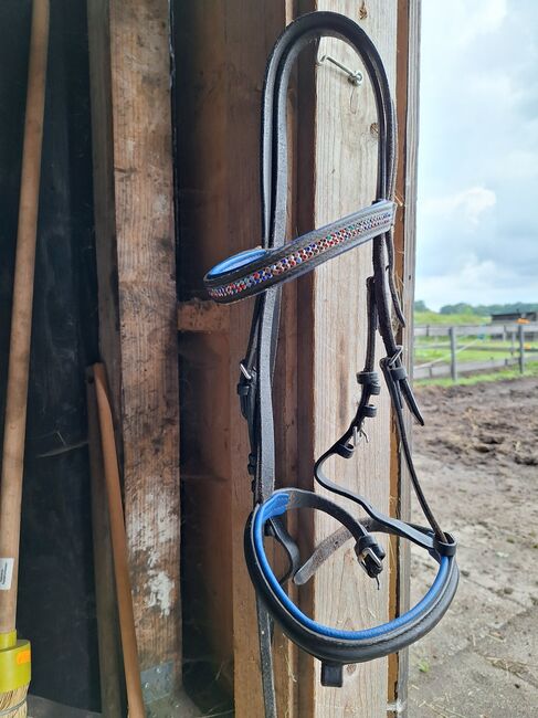 Pony Trense blau unterlegt, Krämer , Finja , Bridles & Headstalls, Rellingen , Image 2