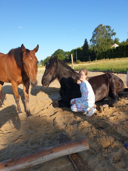 Ponycamp auf dem Lautertalhof, Janina Sausse , Riding Holidays, Lautertal, Image 4