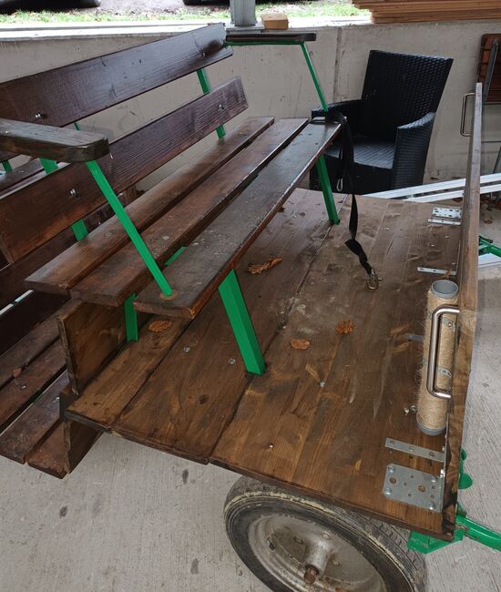 Pony Kutsche, Zeuge , Carriages, Nottuln, Image 4