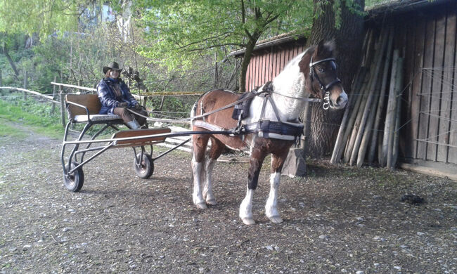 Pony Kutsche Sulky, Eigenbau, Nadja, Carriages, Bodnegg, Image 2