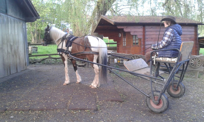 Pony Kutsche Sulky, Eigenbau, Nadja, Carriages, Bodnegg, Image 4