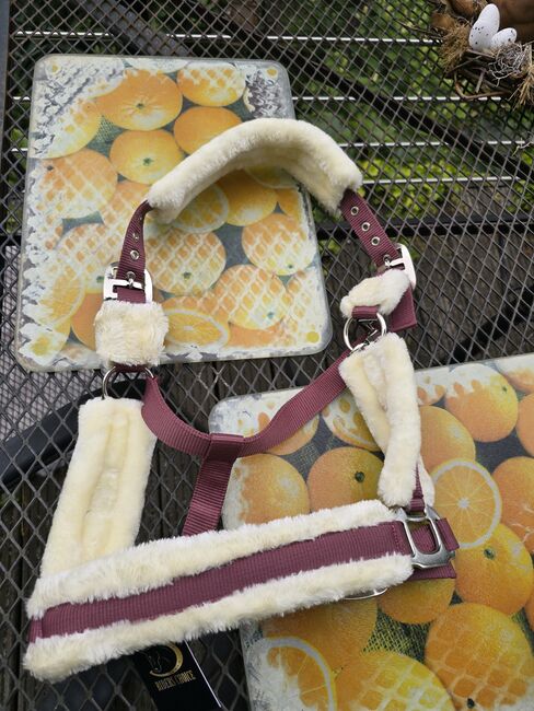 Pony Halfter Fellhalfter Neu Rosa Bordeaux, Riderschoice  Fellhalfter, Isi, Halfter, Quedlinburg