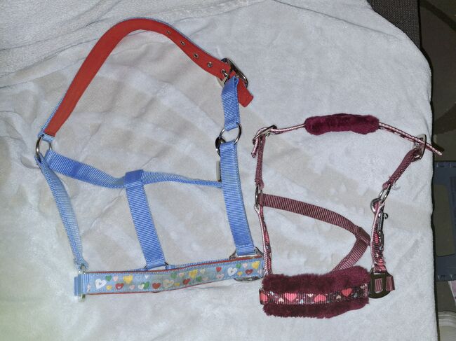 Ponyhalter, Mini-Shettyhalfter, Marina , Halters, Häselgehr 